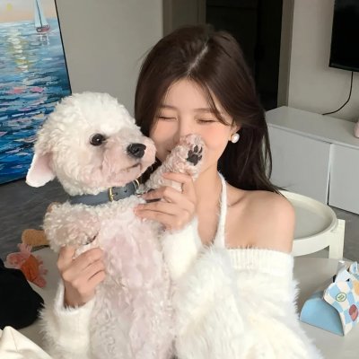 新不了情
