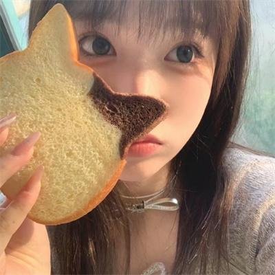 联邦调查局第一季