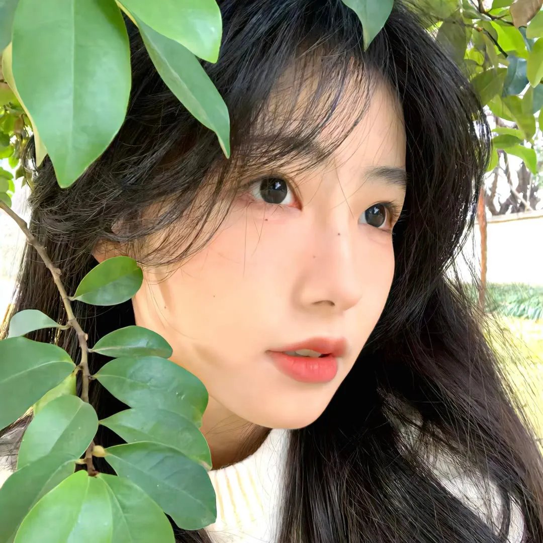 上流秘笈